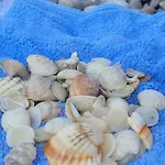 Bezek Διαμέρισμα